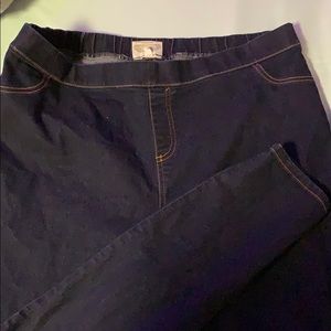 Jeggings by Bobbie Brooks 2x